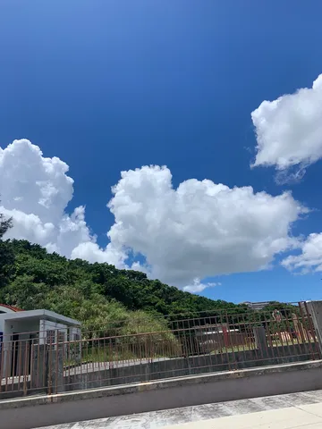 青空と緑のコントラスト