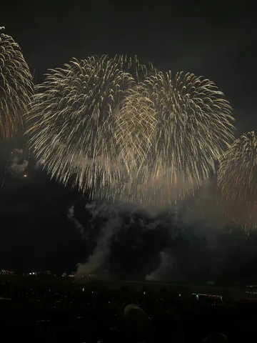 夜空に広がる黄金の華