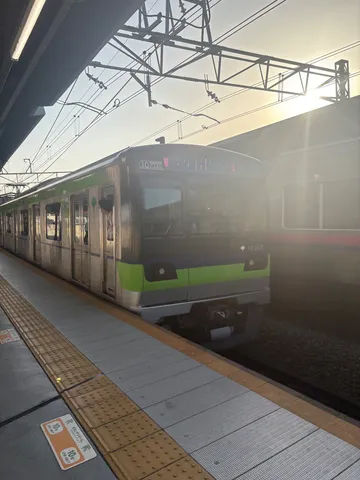 夕陽に映える緑の列車