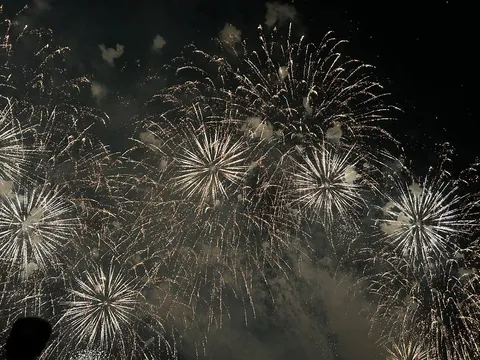 夜空を彩る光の華