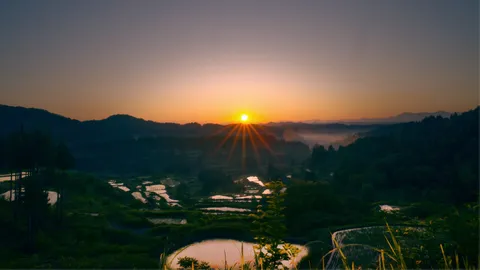 朝日に染まる棚田の絶景