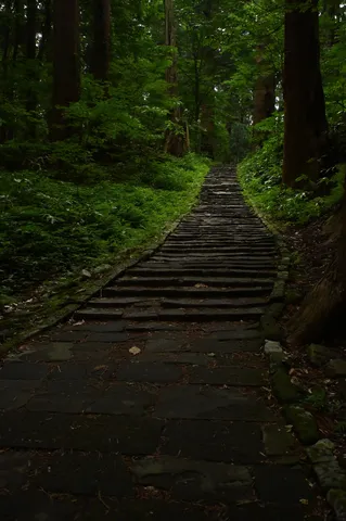 深緑の石段、古への誘い