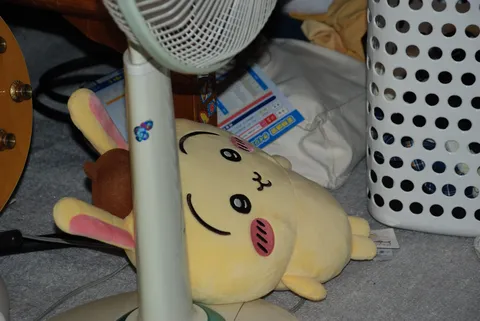 うさぎさん、お疲れ様！