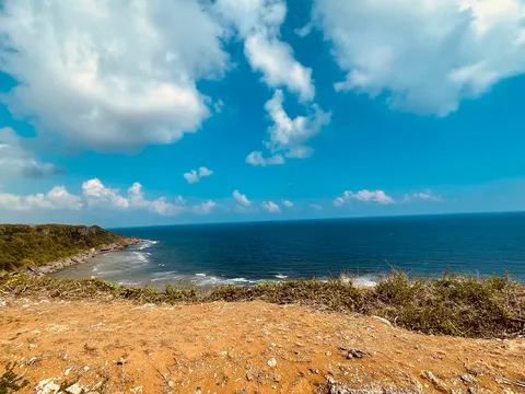 修学旅行 平和を願う 秋の海