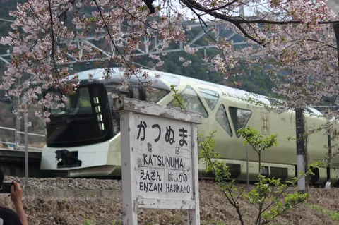 桜と列車のノスタルジックな旅