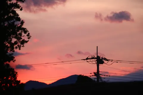 夕暮れの電線が描くグラデーション