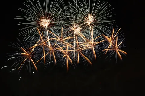 夜空に咲き誇る光の花火