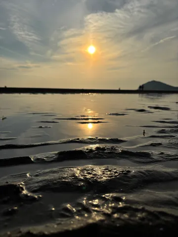 夕日と泥んこ、密着ドキュメンタリー