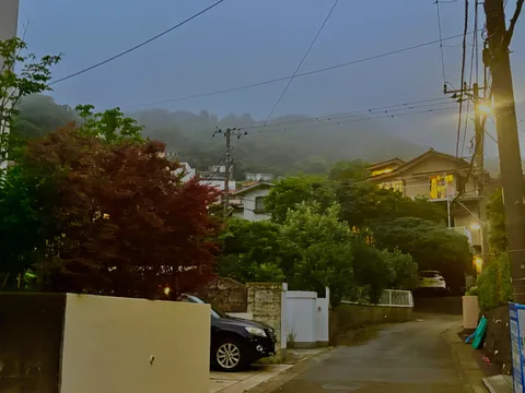 霧雨の夜、灯りに集う家路