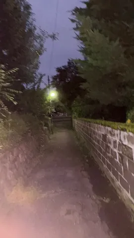 夜の路地に灯る静寂