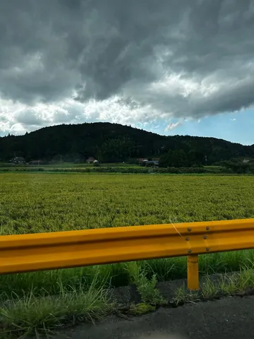 雷雨前の緑の絨毯
