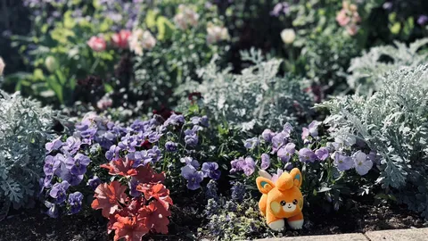 お花畑に佇む、小さき友人