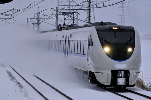 雷鳥、雪中に舞う