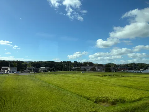 都会の風景、緑の絨毯