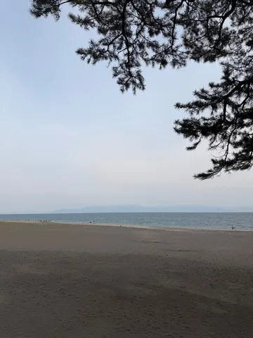 木漏れ日と凪の海