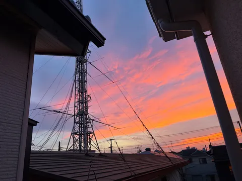夕焼け空に、まさかの電線祭り