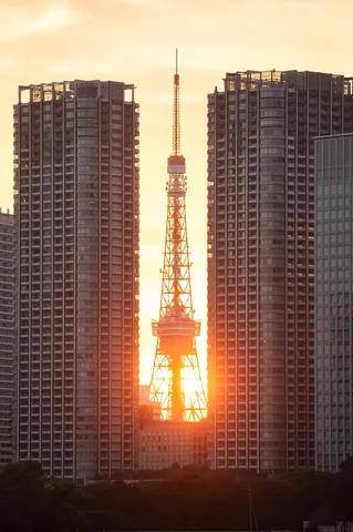 ビルが囲む、夕陽の塔