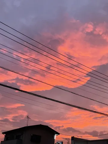 電線と夕焼けのコントラスト
