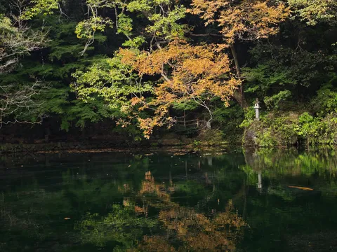 穏やかな水面に映る彩り