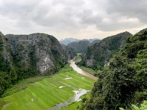 緑の棚田と連なる山々
