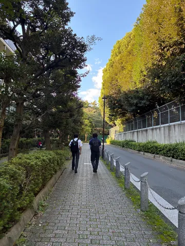 並木道の午後の影