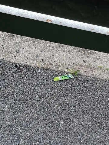 道端に転がるワサビチューブ