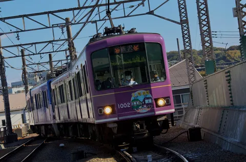 紫の線路に息づく列車