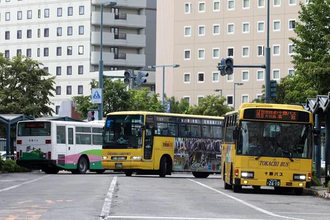 バスが行き交う、都市の日常風景