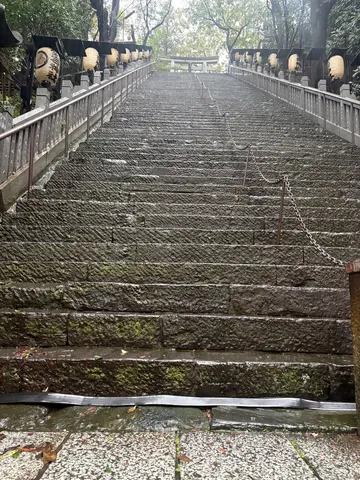 苔むす石段と灯籠の道