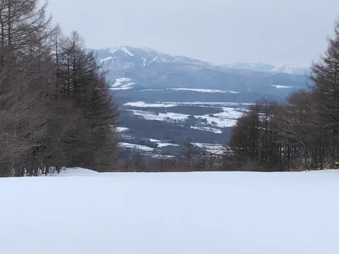 木漏れ日と冬の山並み