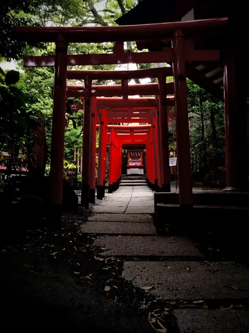 深淵へと続く、光の朱道