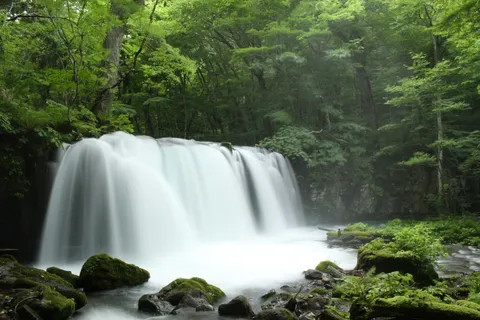 新緑と白糸の滝