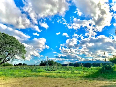 童心に帰る、あの日の空