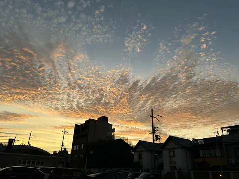 夕暮れの空に浮かぶ雲の絨毯