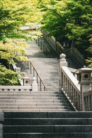 樹影に続く石段の静寂