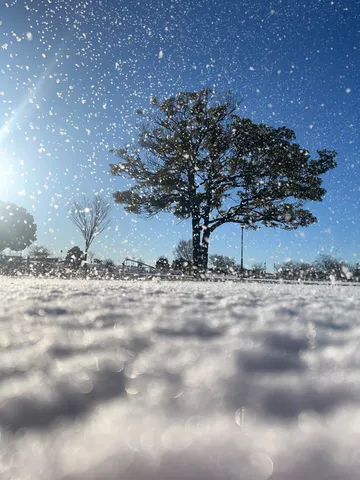 晴れの日の雪解け間近
