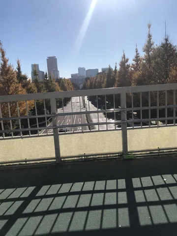 都会に伸びる並木道と日差し