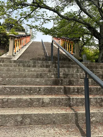 どこまでも続く、緑に覆われた階段