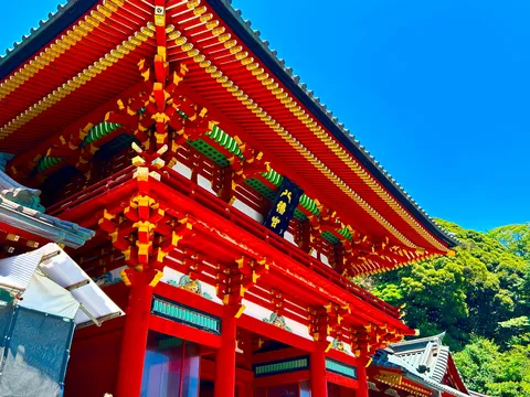 情熱の赤に、青空もタジタジ？