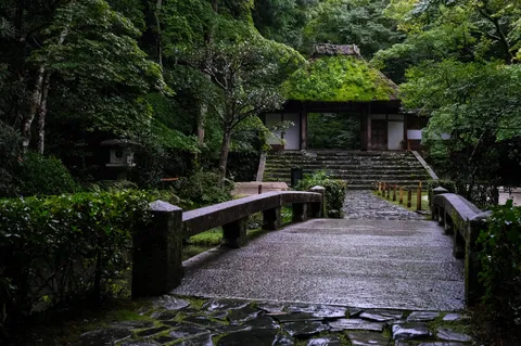 苔むす静寂の参道