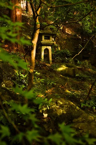 苔むす灯籠の森影