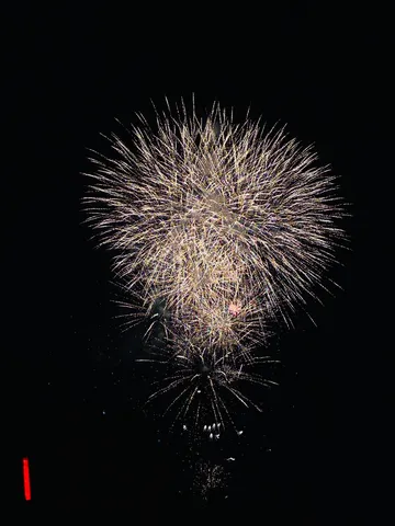 夜空に咲く、光の花束