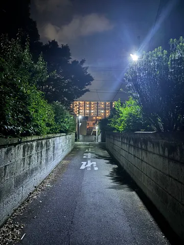 路地の夜、灯りの誘い