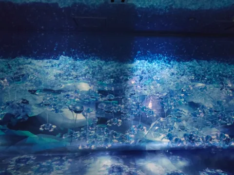 青き水底の幻想