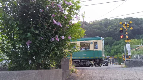 花影に走る緑の列車