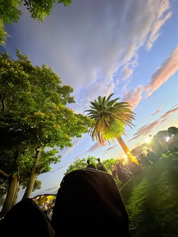 夕暮れのパームと人々の輪