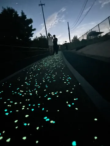 きらめく夜の散歩道