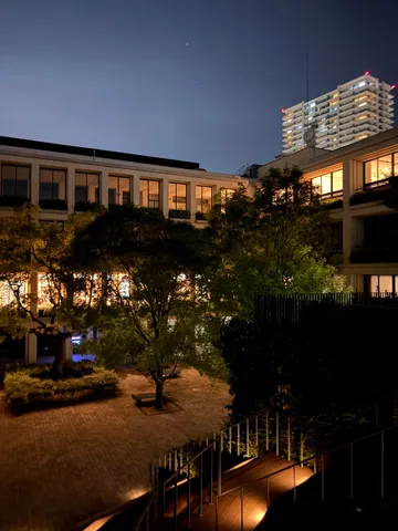 静寂の夜、都会のオアシス