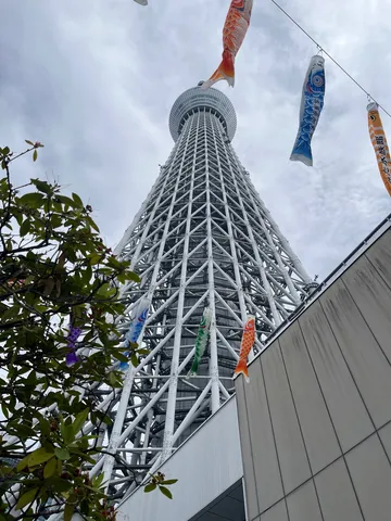 鯉のぼりと空へ伸びるタワー
