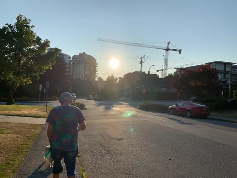 夕暮れの散歩道、未来への視線